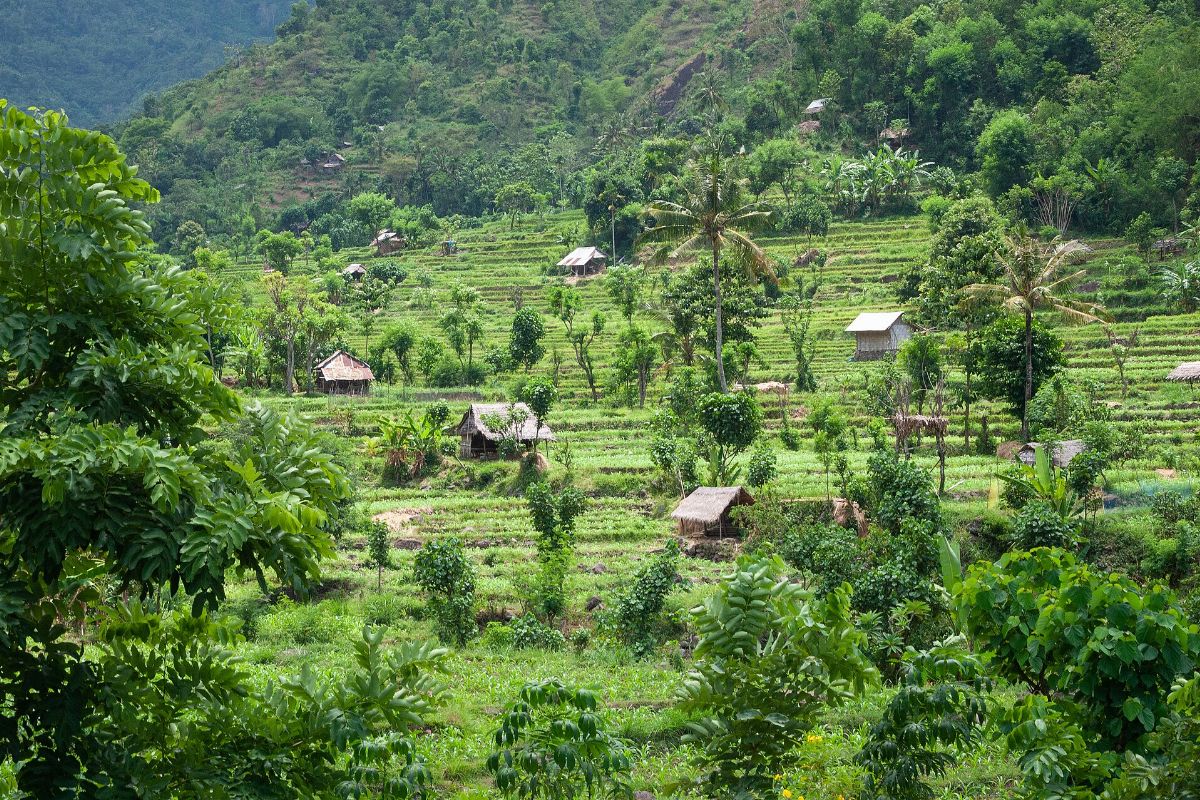 Reiseziel Indonesien